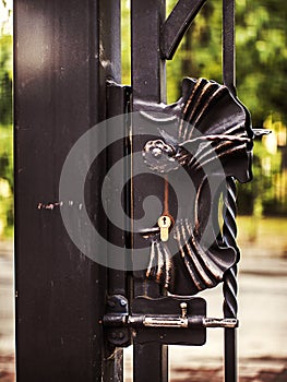 decorative door handle of the property fencing