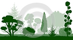 Decorative dwarf trees, garden conifers. Silhouettes. Vector illustration photo