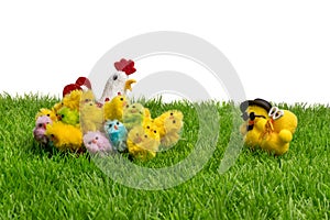 Decorative easter chickens with glasses and hen on plastic grass, forming a festive scene. Isolated on white background