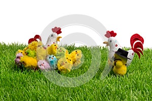 Decorative easter chickensand one in a hat and hens on plastic grass, forming a festive scene. Isolated on white background