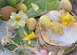 decorative easter eggs hidden in spring flowers in the garden