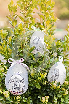 Decorative Easter eggs placed in boxwood branches