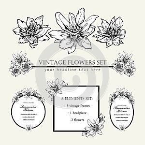 Decorative elements set. Hand drawn vector ink illustration of ranunculus helenae flowers. Picture frames.