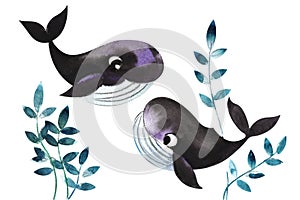 Decorative elements Two small cartoon dark blue whales are playing in the thickets of sea plants and algae. Cute baby illustration