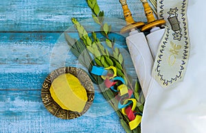 Decorative elements used in the celebration of Sukkot: etrog, lulav, hadas, and arava, some of the Jewish holiday