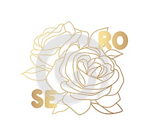 Decorative english garden vintage golden rose with text. Female summer print, t-shirt design. Line art.