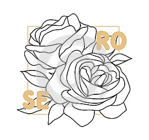 Decorative english garden vintage rose with text. Female summer print, t-shirt design. Line art. Hand drawn beautiful flowers.