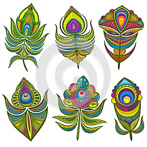 Decorative ethnic peacock feathers vector set isolated