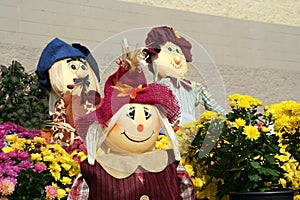 Decorative fall scarecrows photo