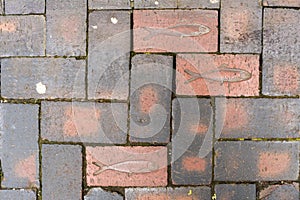 Decorative fish on brickwork path in the Museum Quarter, part of a trail, in Kingston upon Hull, UK photo
