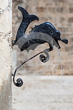 Decorative fish on the fountain