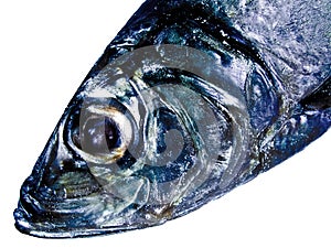 Decorative fish head