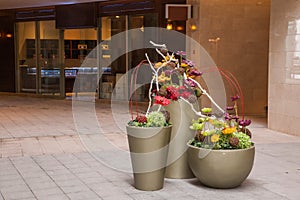 Decorative floor LONGHU star Hyatt Place dried flowers