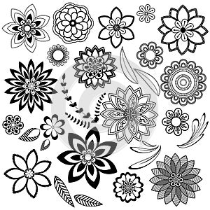 Decorative Floral elements