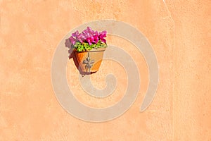 Decorative flower pot on the beige wall