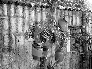 Decorative flower pots with flowers on an old stone wall in a courtyard in Alacati,Turkey