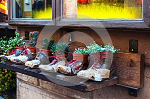 Decorative flower pots in the form of shoes with flowers, advertising of a shoe store on the street Montepulciano