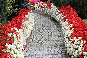 Decorative flowers in the beautiful garden are used to relax in your free time  .