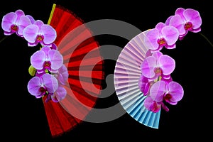 Decorative folding fans and beautiful pink phalaenopsis orchids on dark background