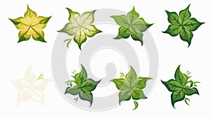 Foliate Shapes Around the Star Vector Motif photo