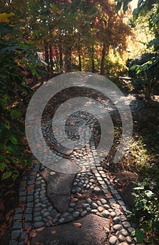 Decorative footpath through the park in autumn colors