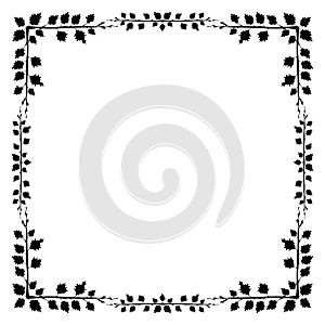 Decorative frame and border