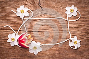 Decorative frame of dafodils