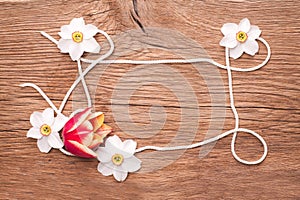 Decorative frame of dafodils