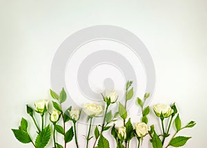 Decorative frame with gentle white roses on white background. Flat lay