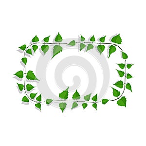 Decorative frame made of thin birch twigs and green leaves. Floral ornament for design and decoration of invitations and posters.