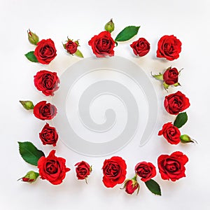 Decorative frame with red bright roses and leaves on white background. Flat lay