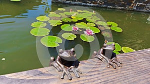 Decorative Frogs and Lotus at the Fountain photo