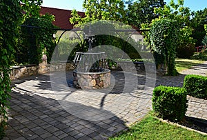 Decorative garden arc with stone low stone murral, growing ivy Hedera Helix on construction above, wooden benches and elegant smi