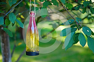 Decorative garden bottle with led lamp