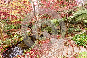Decorative garden with ponds, footbridges, and trees with red ma