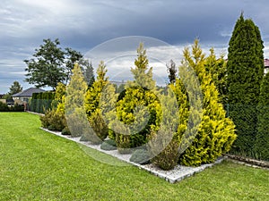 Decorative garden stand with yellow and green fir trees