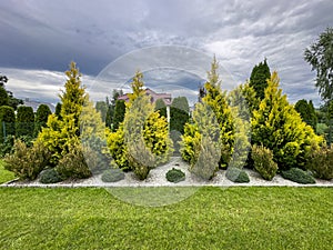 Decorative garden stand with yellow and green fir trees