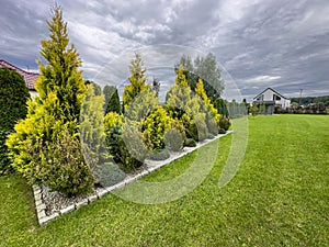 Decorative garden stand with yellow and green fir trees