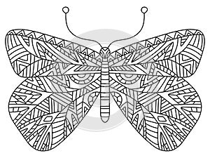 Decorative geometry hand-drawn butterfly colouring page vector illustration