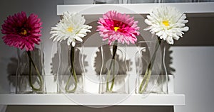 Decorative glass vases with flowers on white wooden shelf