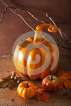 Decorative golden papier-mache pumpkin and autumn leaves for hal