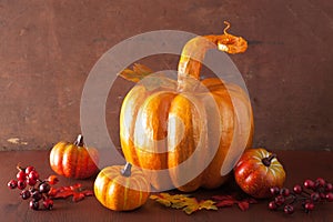 Decorative golden papier-mache pumpkin and autumn leaves for hal