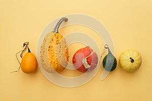 Decorative gourds and winter squash on yellow background