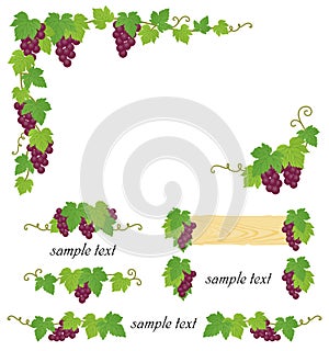 Decorative grape illustration photo