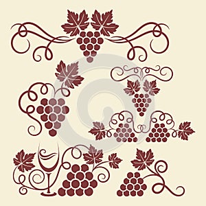 Grape vine elements photo