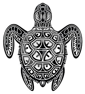 Decorative Graphic sea turtle