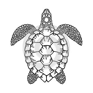 Decorative graphic vector turtle for coloring book with vintage outline style.Environment pollution, ecological problem