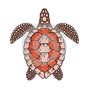 Decorative graphic vector turtle for coloring book with vintage outline style.Environment pollution, ecological problem