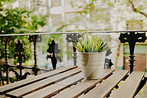 Decorative grass in flower pot stands on wooden table on balcony. Artificial green plant in galvanized steel pot on city