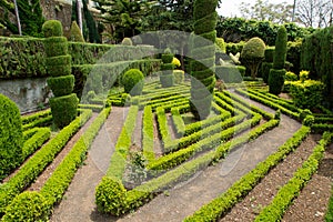 Decorative green park